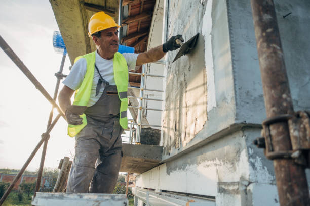 Best Cellulose Insulation  in Seguin, TX